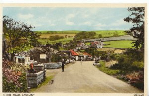 Wales Postcard - Shore Road - Gronant - Flintshire - Ref 4117A