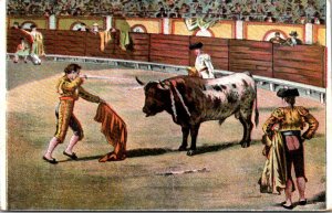 Corrida Bull Fight Thrust With Sword Mexico