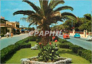 Postcard Modern Forte dei Marmi Avenues along the sea