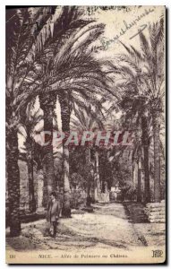 Postcard Old Nice Palms Allee Chateau