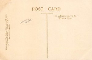 Cabbage Palms Queens Park Trinidad Postcard