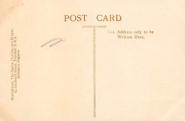 Cabbage Palms Queens Park Trinidad Postcard