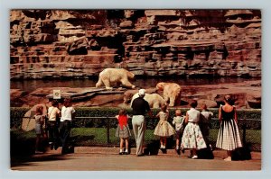 Detroit MI-Michigan, View Of Bear's Den, Detroit Zoo, Chrome Postcard