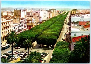 Postcard - Tunis, Tunisia