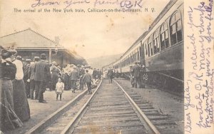 The Arrival of the New York Train  