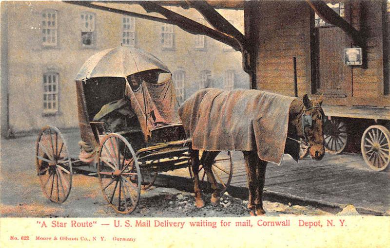 Cornwell NY Railroad Depot U. S. Mail Delivery A Star Route Horse Postcard