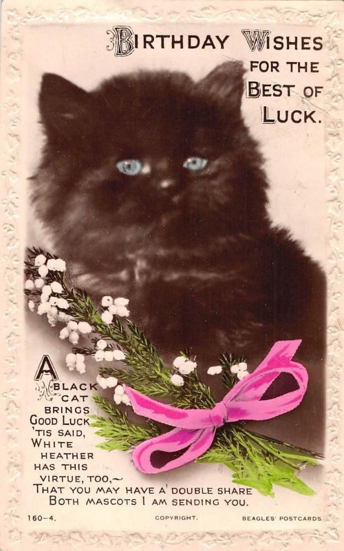 BR102195 greetings cat flower embossed a black cat real photo birthday