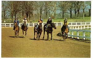 Horse Race Training, Kentucky Horse Racing Park, Lexington, Kentucky