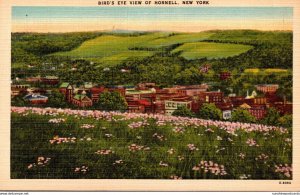 New York Hornell Birds Eye View