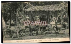 Old Postcard From Paris Garden D Acclimatization Caravan Indian