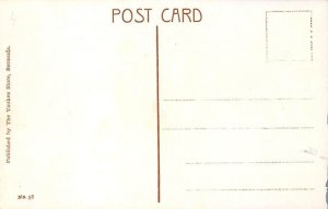 Bermuda Cathedral (Church of England) Bermuda Postcard