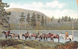 RETURNING FROM THE HUNT-MEN ON HORSES-KILLED DEER ON HORSES HUNTING POSTCARD