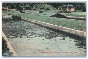 1912 Scenic View Trout Pond Hatchery Manchester Iowa IA Vintage Posted Postcard