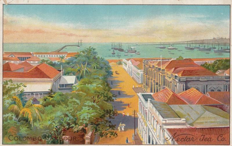 Nectar Tea Company Colombo Antique Advertising Postcard