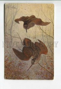 478156 Peter PASCHEN Autumn HUNT Bird WOODCOCK Vintage postcard NOVITAS