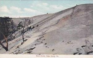 Virginia Cape Henry Sand Dunes