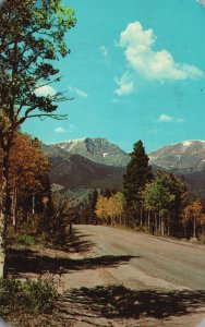 Vintage Postcard 1972 Mount Ypsilon Autumn Rocky Mountain National Park Colorado