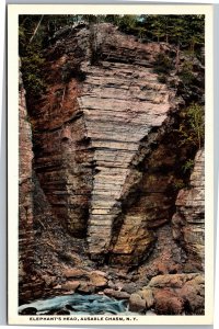 Postcard NY Ausable Chasm  Elephants Head