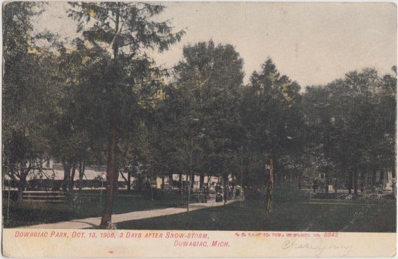 Michigan MI Postcard 1907 DOWAGIAC PARK Three Days after SNOWSTORM 