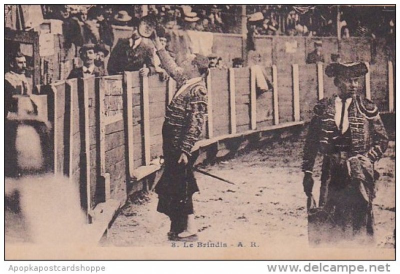 Corrida Bull Fight Le Brindis