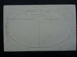 Nottingham ENTRANCE TO EMBANKMENT c1910 Postcard by Valentine 66864