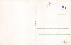 Germany Heidelberg Schloss Castle vintage postcard