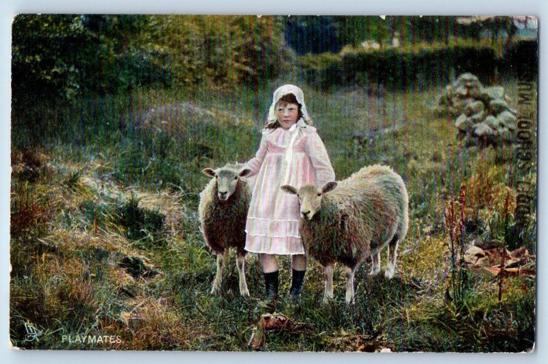 Postcard Playmates Two Sheeps and a Girl 1910 Posted Photochrome Tuck Art