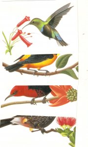 American birds Lot of four (4) modern American postcards with details on back