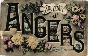 CPA Souvenir d'ANGERS (189820)