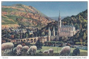 Sheep, La Basilique Et Le Pic Du Jer, Lourdes (Hautes Pyrenees), France, 1900...