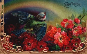 Vintage Postcard 1910's Congratulations Bird Flowers Greetings And Wishes Card