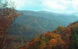 Vintage Postcard 1968 October Great Smoky Mountains National Park Tennessee-NC