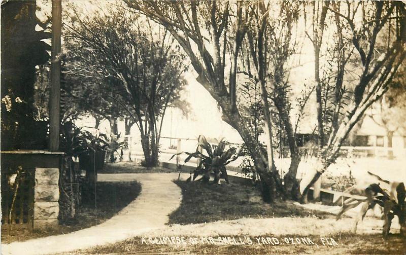 Florida Ozona Glimpse of Snell`s Yard Real Photo Postcard