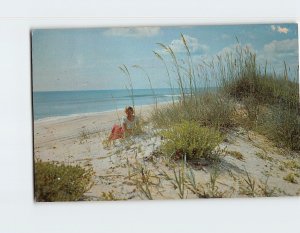 Postcard Along the Beautiful Sandy Beaches of Florida USA