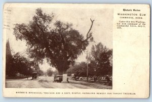 1910 Cambridge Massachusetts Postcard Historic Washington Elm Brown Bronchial