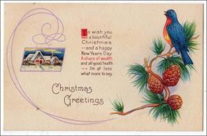 Xmas - Bird & Pine Cones