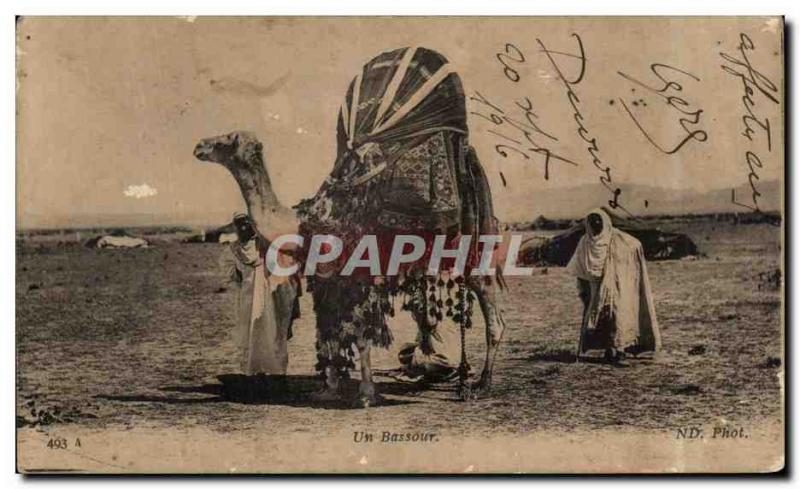 Old Postcard A Bassour Camel