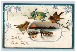 Circa 1910 New Years Snow Birds Vintage Postcard P108E