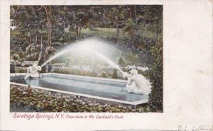 New York Saratoga Springs Fountain In Mr Canfield's Park 1907