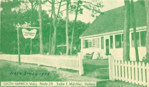 Cape Cod Massachusetts 1949 Mariposa Guest House Postcard 3080 Green tint