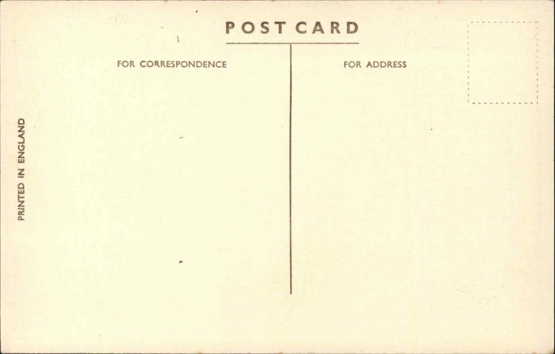 Cunard White Star Steamship RMS Berengaria Library c1915 Postcard