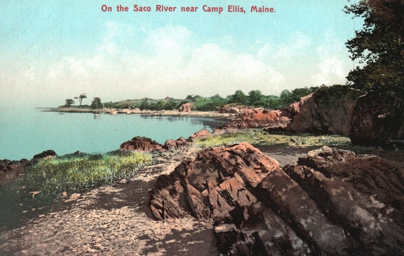 Vintage Postcard On The Saco River Near Camp Ellis Maine Albert Armstrong Pub.