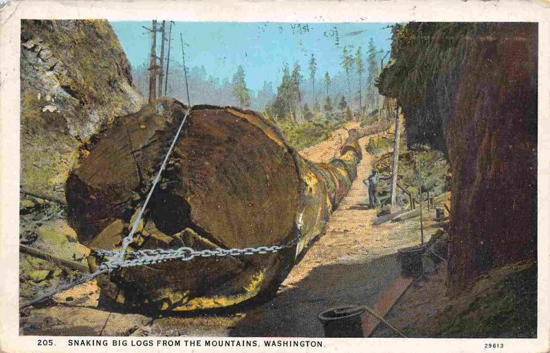 Snaking Big Logs from the Mountains Logging Washington 1931 postcard