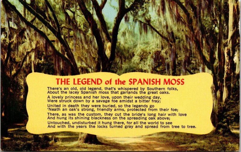 Historic Legend Of Spanish Moss Poem Florida Swamp Landscape DB Postcard 