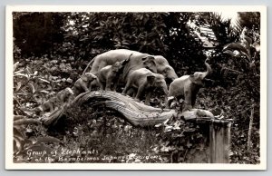 Elephants Beautiful Carving At Bernheimer Japanese Garden RPPC Postcard B33