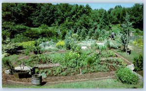 c1988 Coventry Connecticut Postcard Caprilands Silber Street Garden View Posted