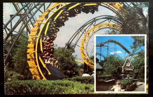 Vintage Postcard 1983 The Python Roller Coaster, Busch Gardens, Florida (FL)