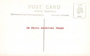 Asian Elephants, RPPC, Feeding on the Work Docks