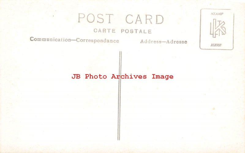 Asian Elephants, RPPC, Feeding on the Work Docks