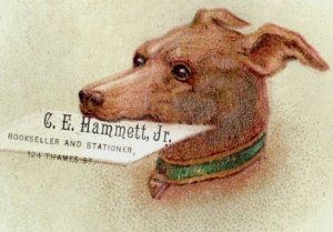 1880s-90s C.E. Hammett Jr. Bookseller Cute Dog Whippet? F149